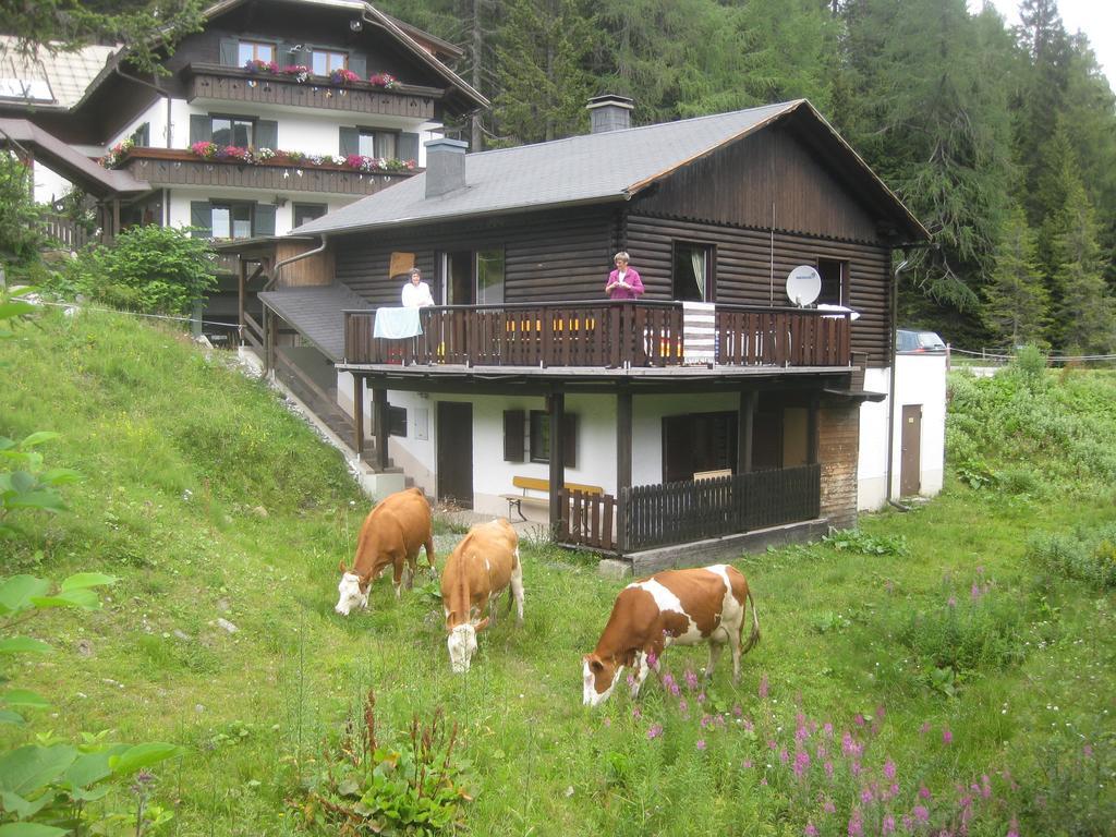 Haus Serena ซอนเนนอัลเพอ นัสส์เฟลด์ ภายนอก รูปภาพ